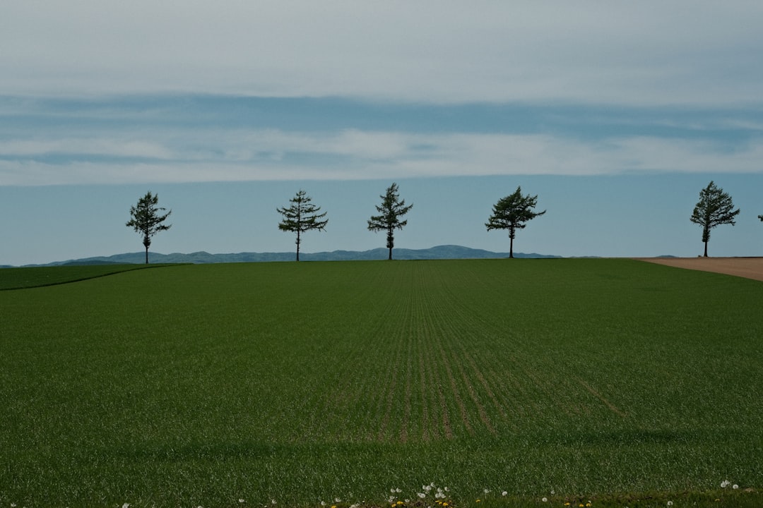 Land use.
