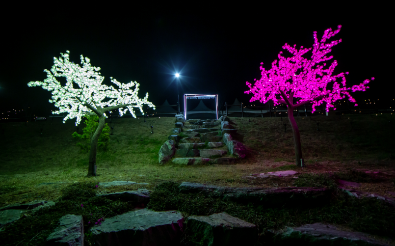 옥천묘목축제 야경