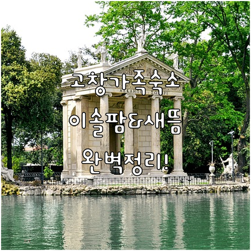 고창 여행 가족 숙소 추천 이솔팜빌리..