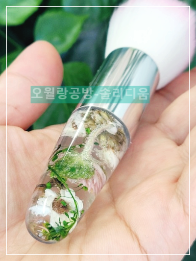 웨딩브러쉬
솔리디움
선물용
오월랑공방