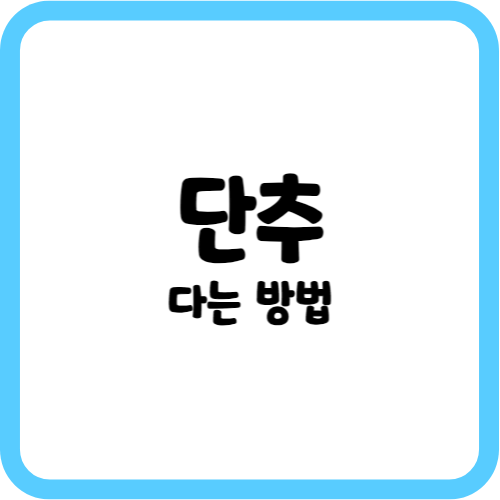 단추 다는 방법