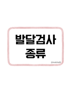 발달검사 종류