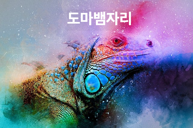 도마뱀자리