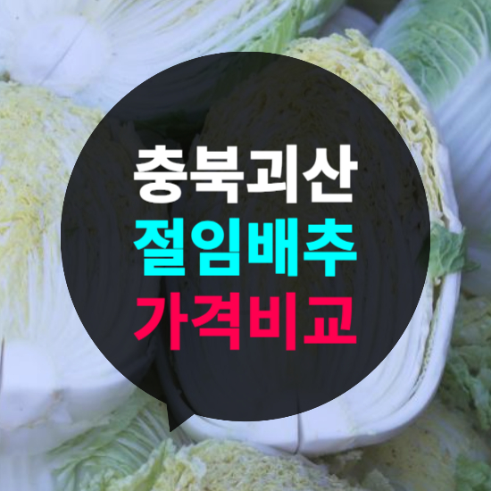 괴산 절임배추 20kg 가격비교