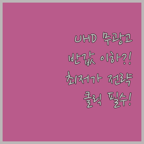 UHD 화질과 무광고 혜택을 최저가로..