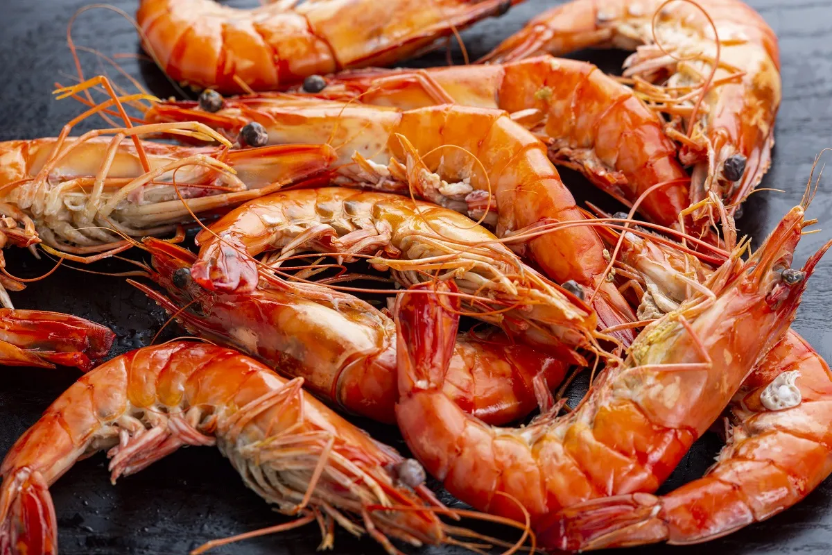 새우 요리 11가지 황금레시피_3