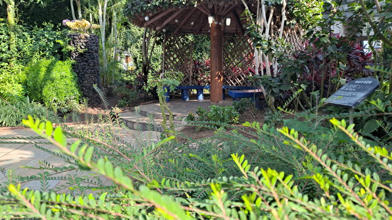 제주여행_여미지식물원