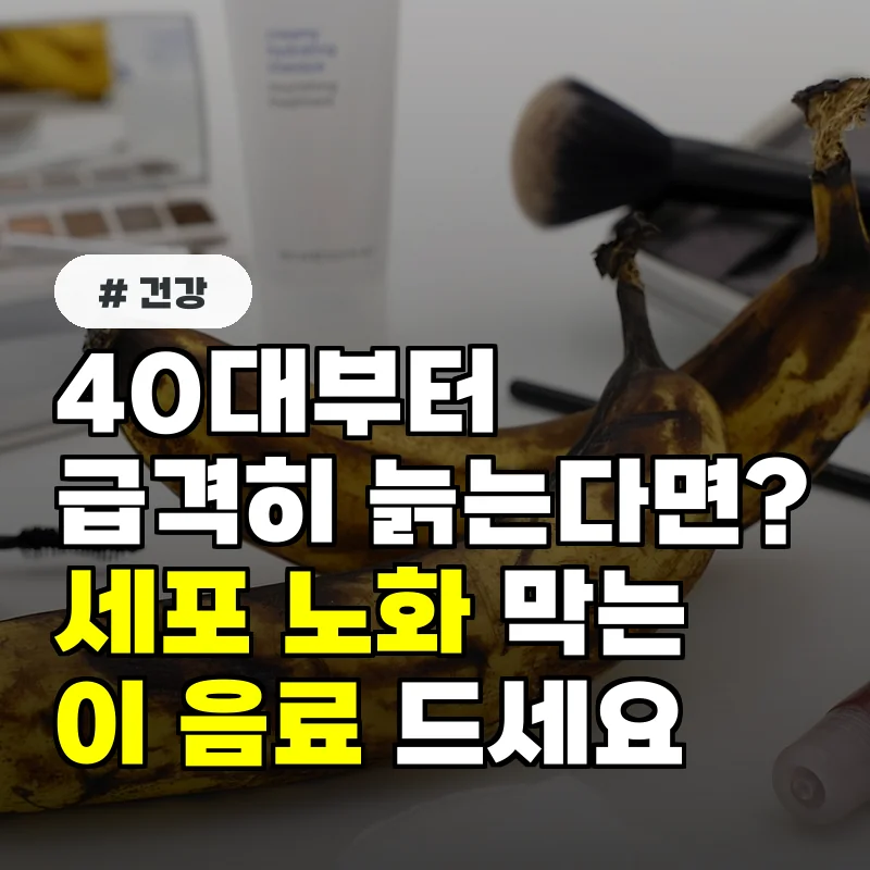 40대부터 급격히 늙는다면 세포 노화 막는 이 음료 꼭 드세요