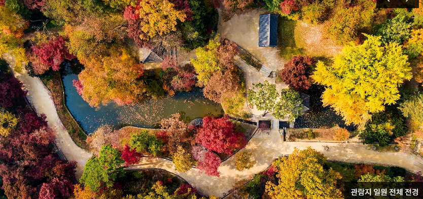 창덕궁 인정전 예약