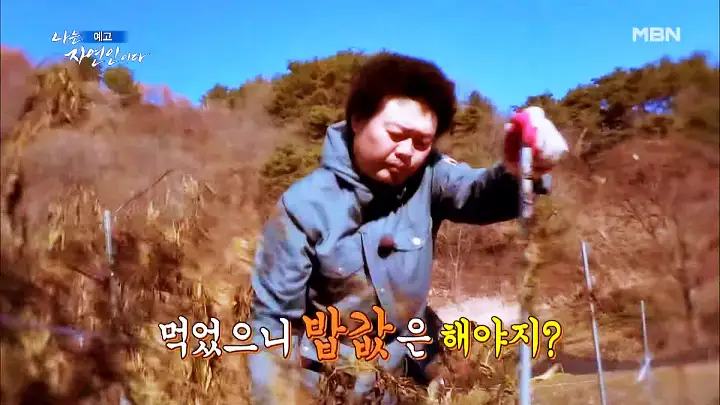 나는 자연인이다 엄마의 이름으로 자연인 김정예 소개 및 윤택 출연 531회 다시보기