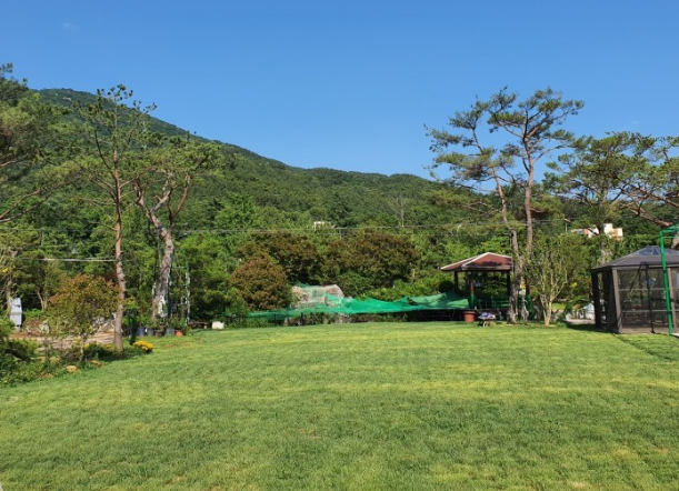베리굿농장
