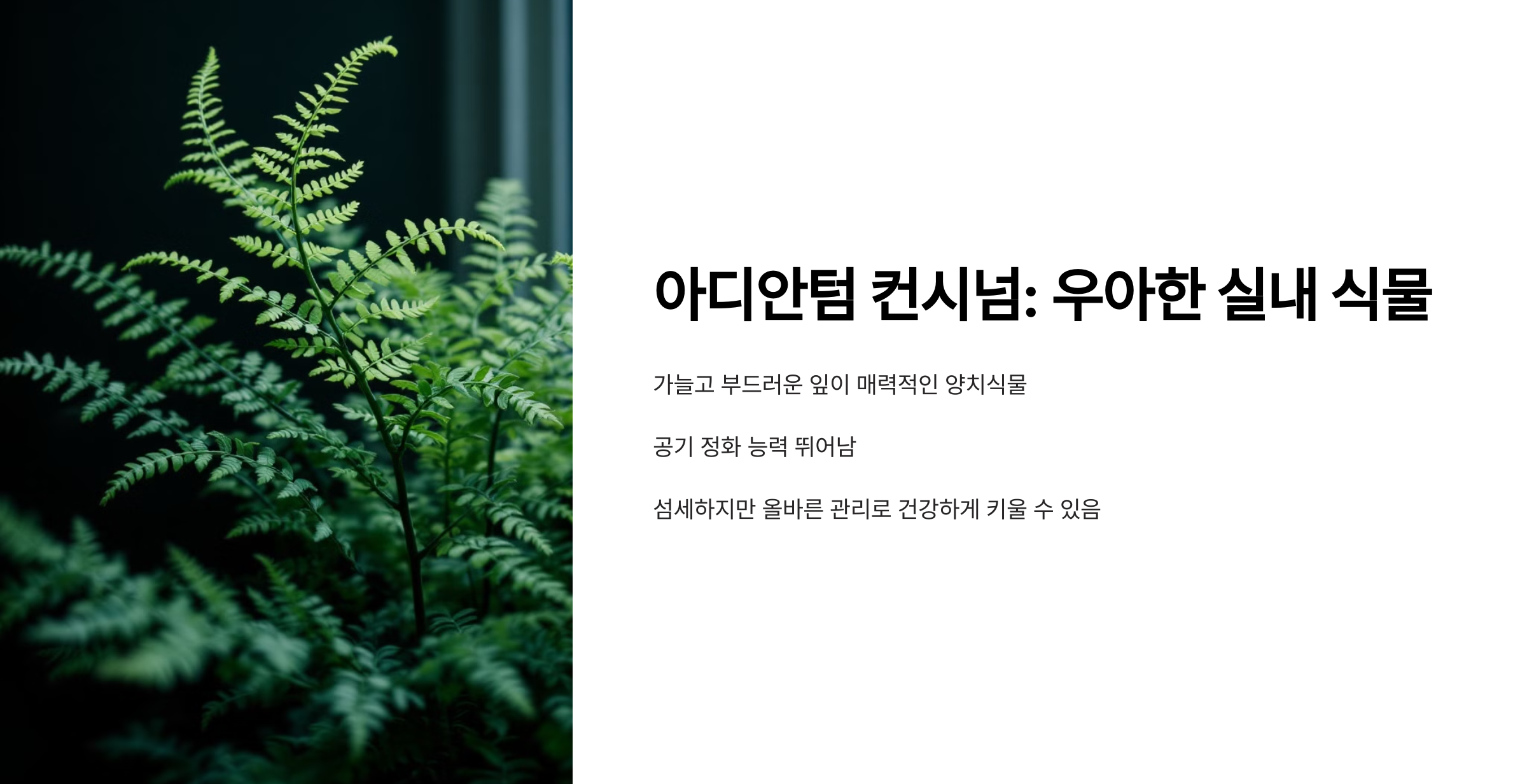 아디안텀 컨시넘