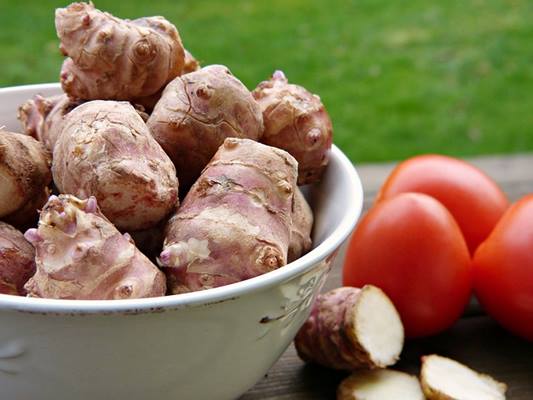 예루살렘아티초크,돼지감자차효능,돼지감자즙,돼지감자효능,볶은돼지감자,돼지감자먹는법