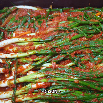 파김치 맛있게 담그는법