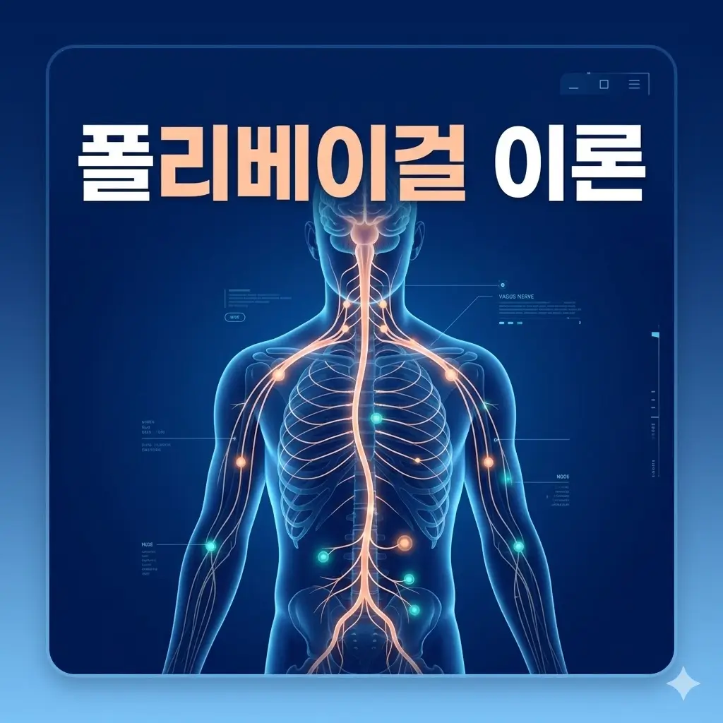 폴리베이걸(다미주신경) 이론: 몸이 느끼는 생물학적 안전의 비밀