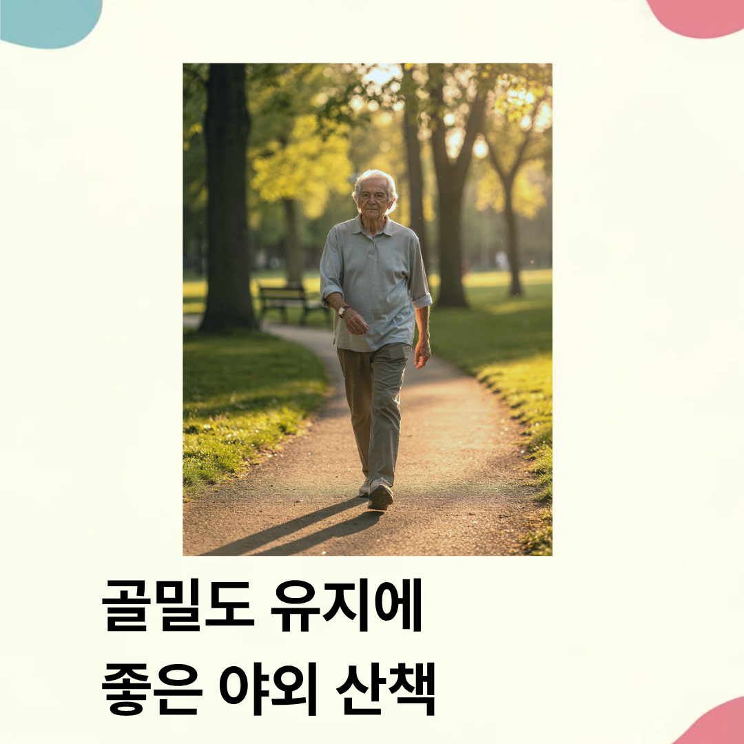 골다공증 수치