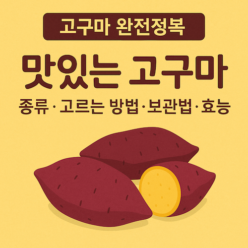 맛있는고구마종류고르는방법보관법효능
