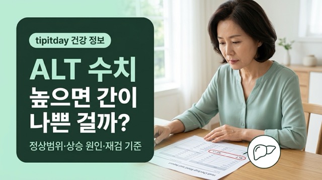 ALT 수치 정상범위 간수치 높은 이유 간기능검사 썸네일