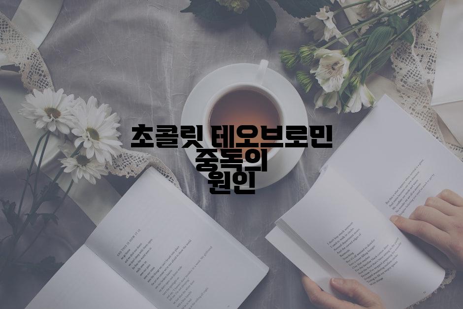 초콜릿 테오브로민 중독의 원인