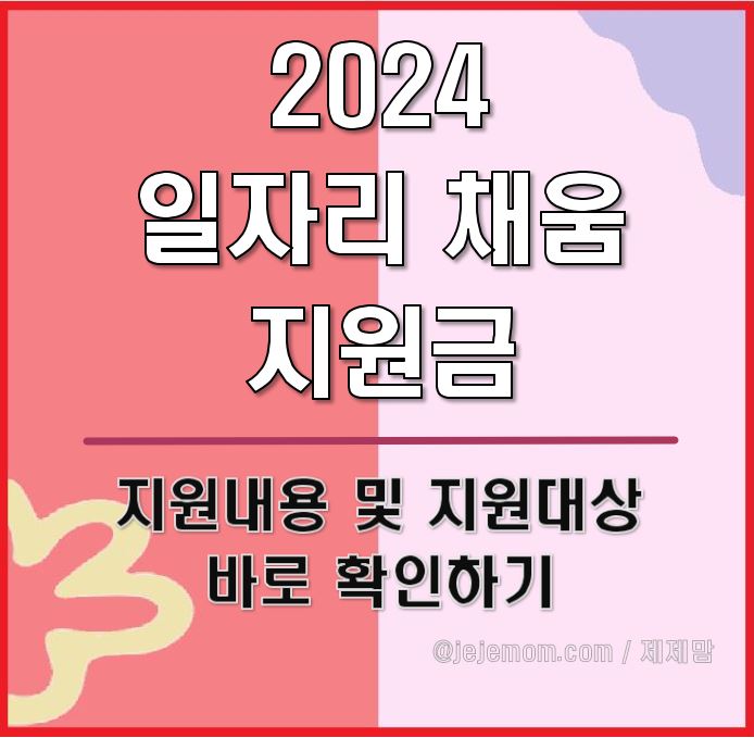 2024 일자리채움지원금
