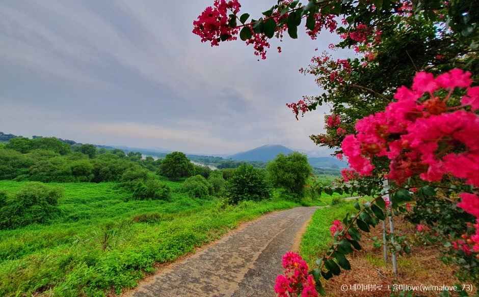 곡성 가볼만한곳 베스트10
