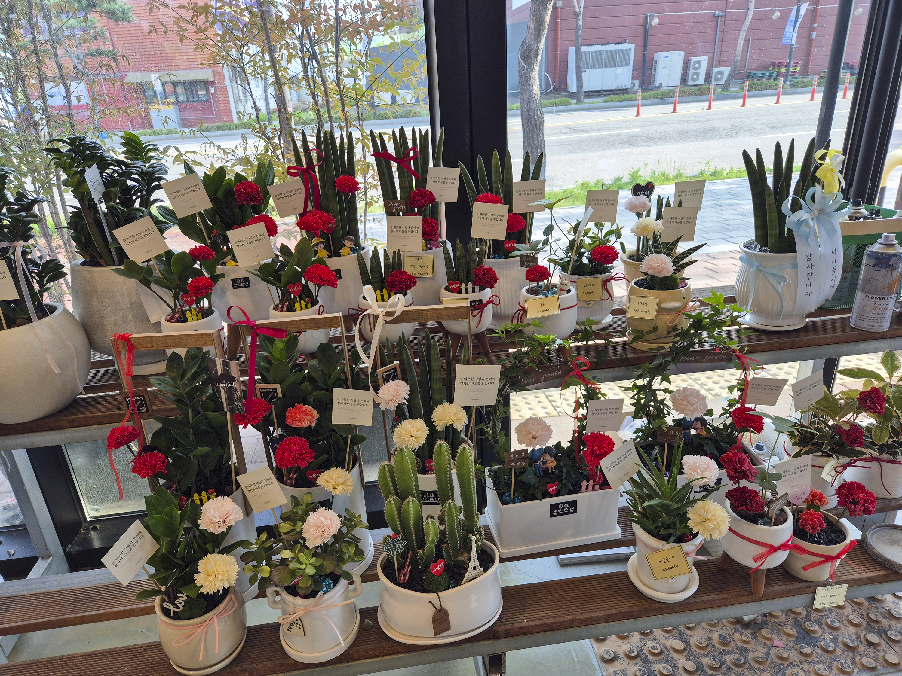 일산 꽃집 사와플라워 내부에는 다양한 꽃이 많이 있다