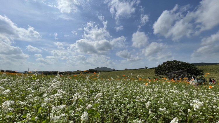 보리나라 학원농장