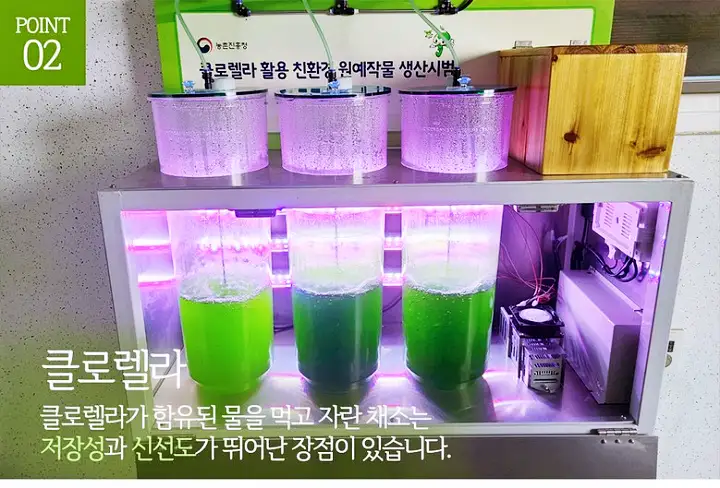 서민갑부 쌈채소 방울토마토 오이 전국 택배 온라인 주문 야채 파는 곳 연 매출 10억 원 귀농 농부 이범석 방송 정보