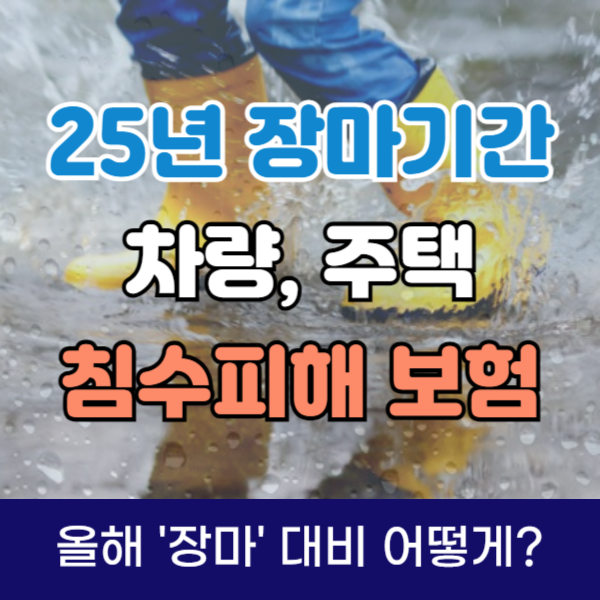 25년 장마기간