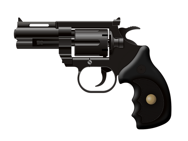 송도 사제총기 사망사고