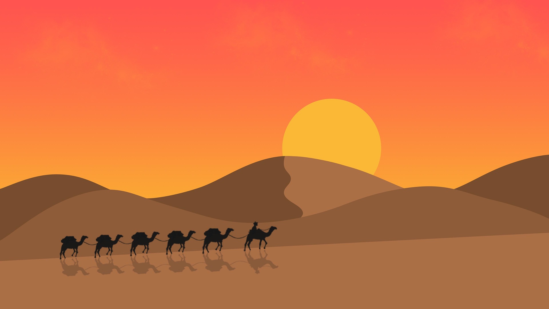 이집트 카이로 낙타 태양 사막