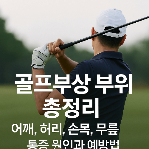 골프부상 부위｜어깨, 허리, 손목, 무릎 통증 원인과 예방법