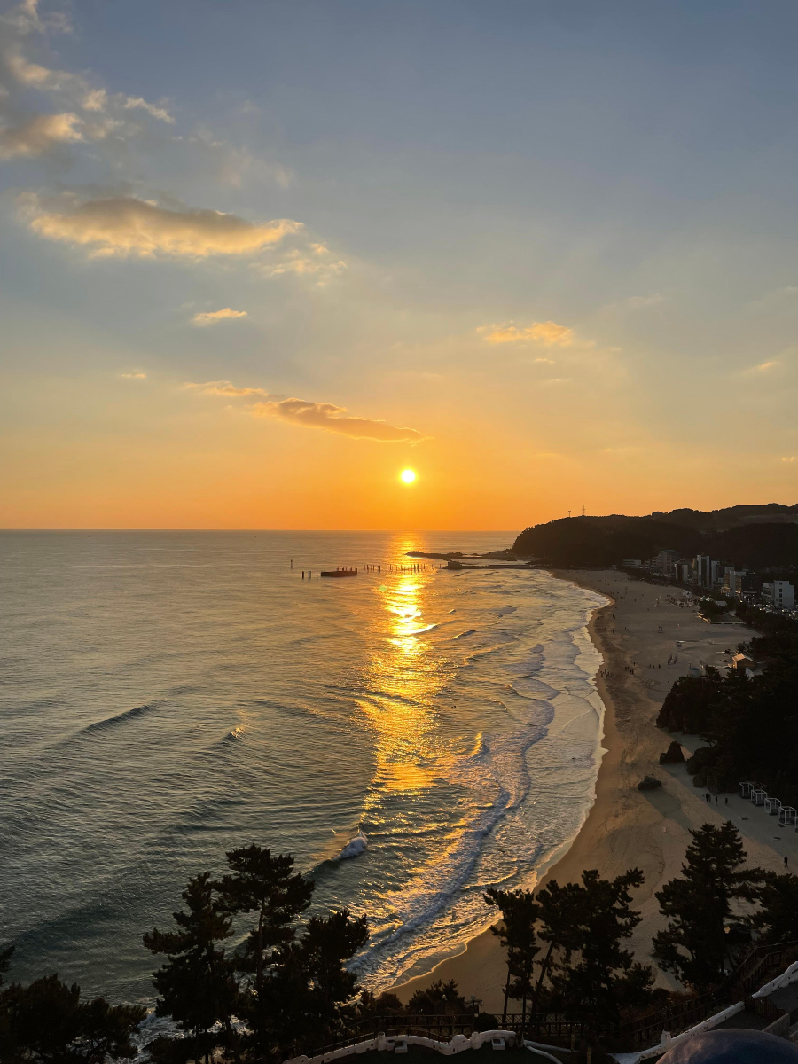솔비치 삼척 일출 체험