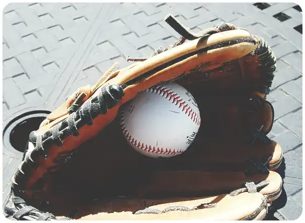 WBC와 WBSC(프리미어 12) 야구의 차이점