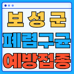 전라남도 보성군 폐렴구균 백신 무료 예방접종 비용지원 가격 신청방법 대상자 간격 13가 15가 20가 23가