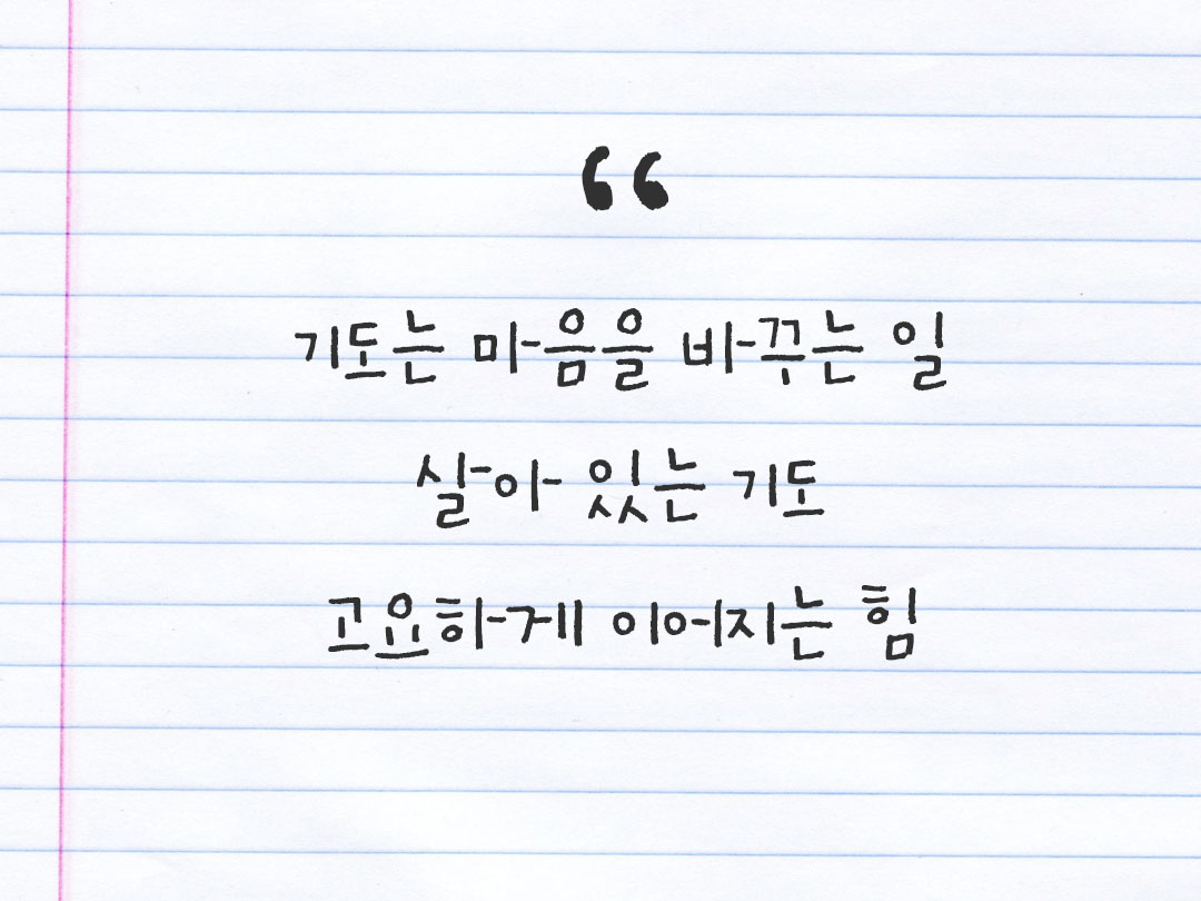 2026년 2월 21일 피어나네 감사노트|일상을 행복으로 바꾸는 기록 하루 3줄 감사일기