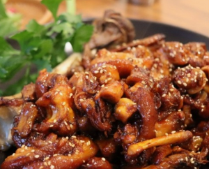 안양 댕리단길 맛집 BEST