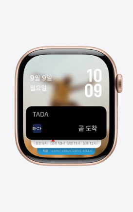 애플워치10 출시일 사전예약 [가격]