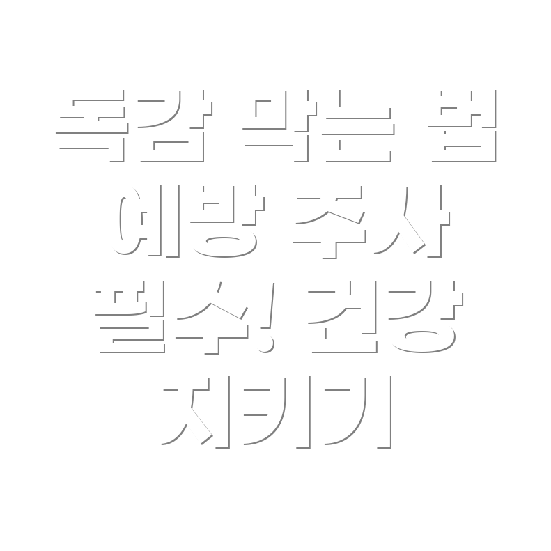 독감 예방 주사