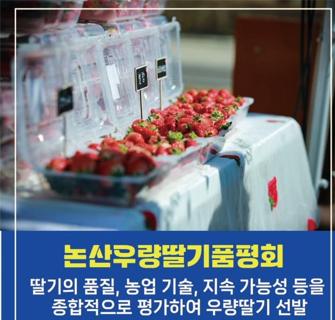 논산딸기축제 2025 ❘ 달콤한 봄을 맛보는 특별한 경험