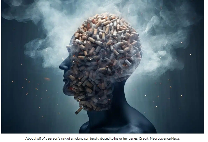흡연, 뇌 수축 노화 촉진...금연 후에도 복구 안돼 Smoking Linked to Brain Shrinkage, Irreversible Even After Quitting