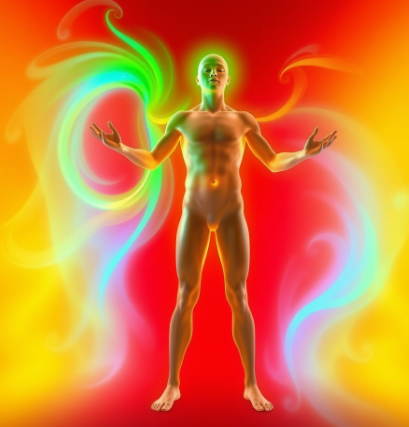 씨커트-복용법-성분-효과