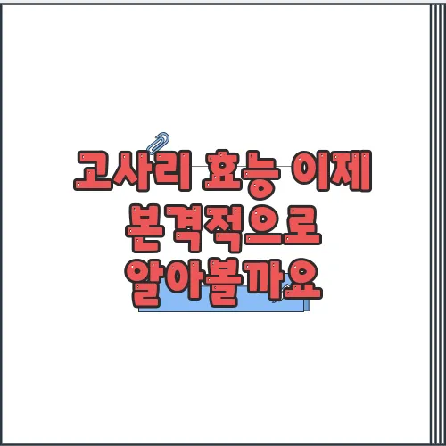 고사리 효능 이제 본격적으로 알아볼까요