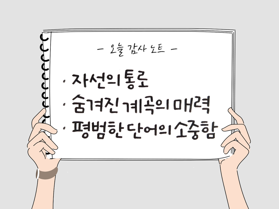 오늘 감사한 순간들, 일상 속 숨겨진 보물찾기