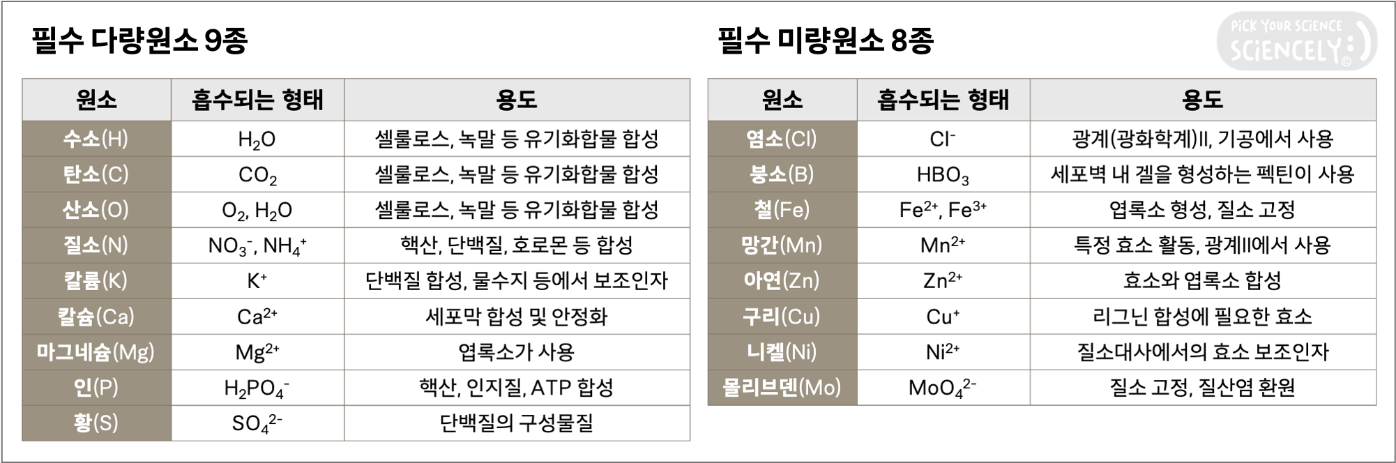식물 생장 성장 필수원소, 다량원소, 미량원소, 무기물, 무기영양설, 수소 탄소 산소 질소 칼륨 칼슘 마그네슘 인 황, 염소 붕소 철 망간 아연 구리 니켈 몰리브덴