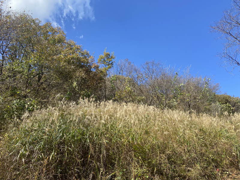 포천 명성산 등산코스 추천 억새꽃축제 방문후기. 주차장 정보