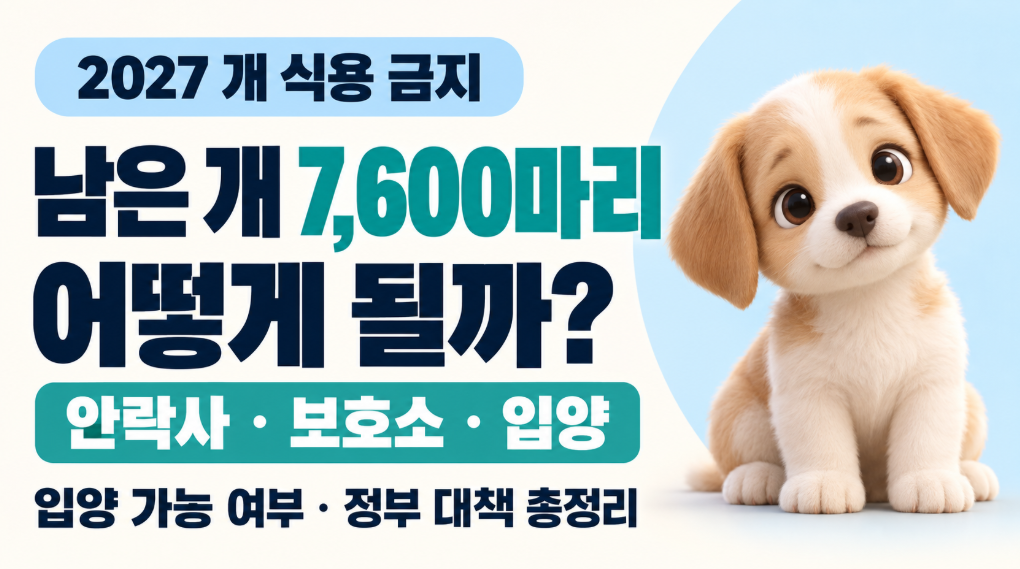 2027 개 식용 금지 후 남은 개 7600마리는 어떻게 될까?｜안락사&middot;보호소&middot;입양 가능 여부&middot;정부 대책 총정리