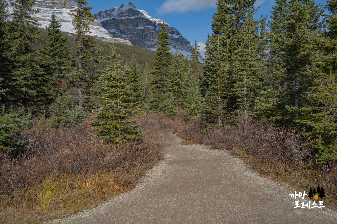 보우 레이크 숲길