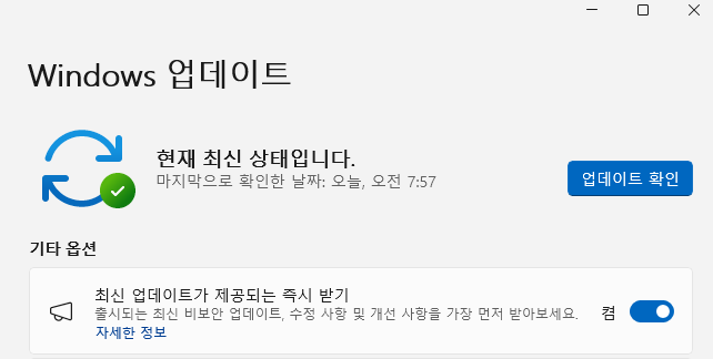 자동 업데이트