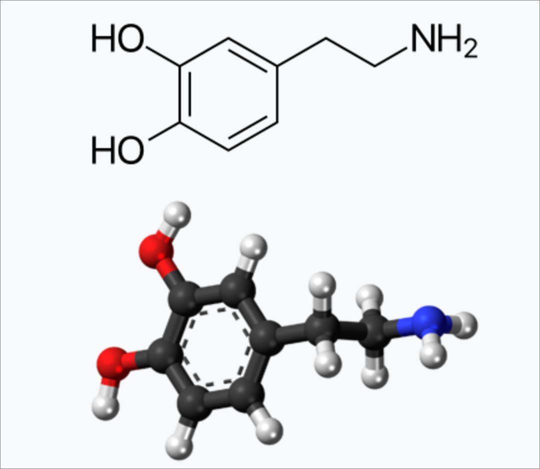 도파민이란?